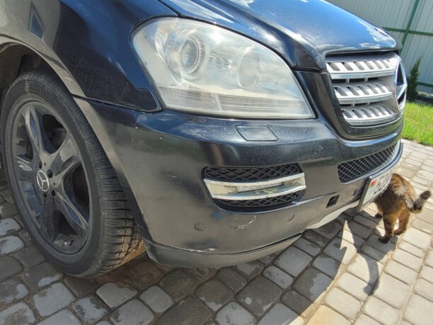 Mercedes-Benz M-Класс W164, 2007 г.