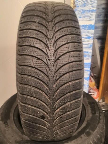 Легковые шины Sava Eskimo ice 195/65 R15 4 шт.