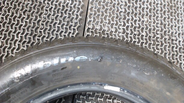 Легковые шины Nexen Nblue 4Season 195/65 R15 1 шт.