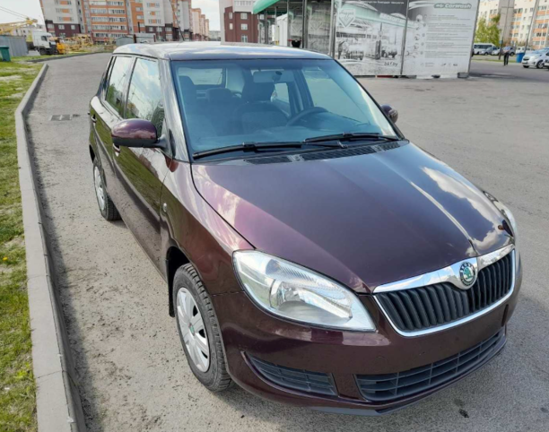 Skoda Fabia 5J · Рестайлинг, 2010 г.