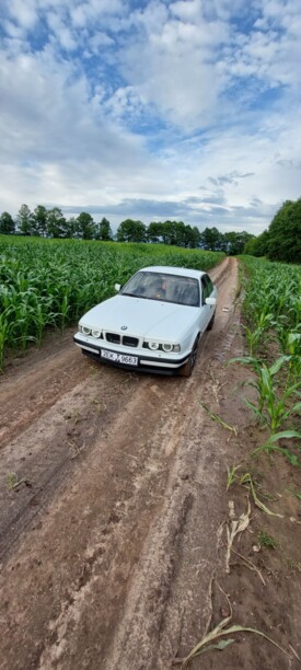 BMW 5 серия E34, 1994 г.