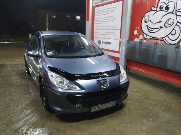Peugeot 307 I · Рестайлинг, 2007 г.
