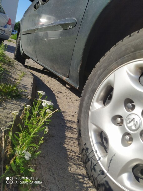 Dodge Caravan IV, 7 мест, 2001 г.
