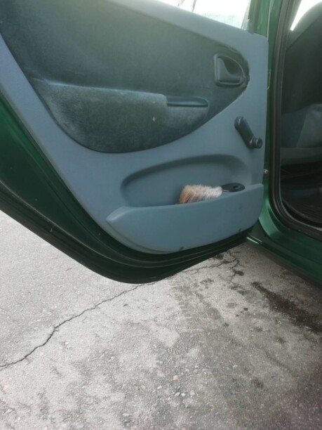 Renault Scenic I, 1999 г.