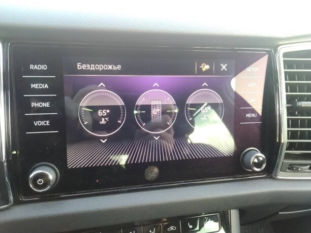 Skoda Kodiaq I, 2019 г.