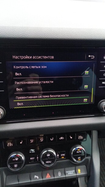 Skoda Kodiaq I, 2019 г.