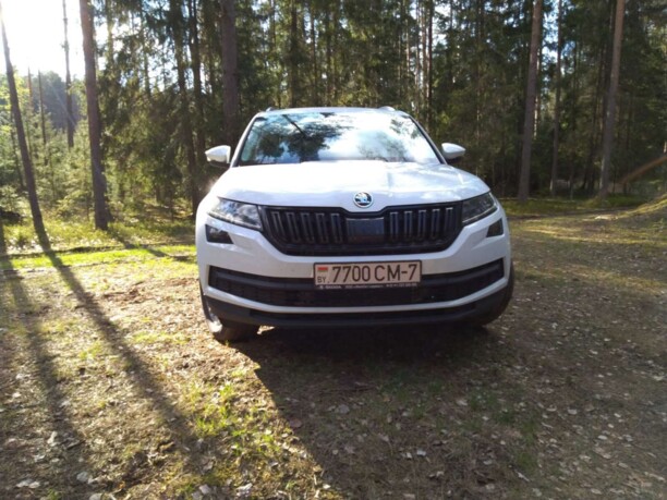 Skoda Kodiaq I, 2019 г.