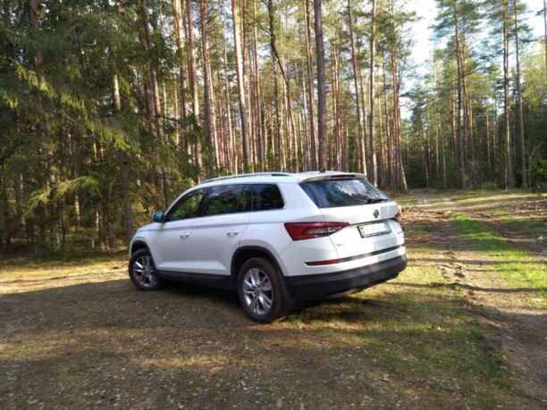 Skoda Kodiaq I, 2019 г.
