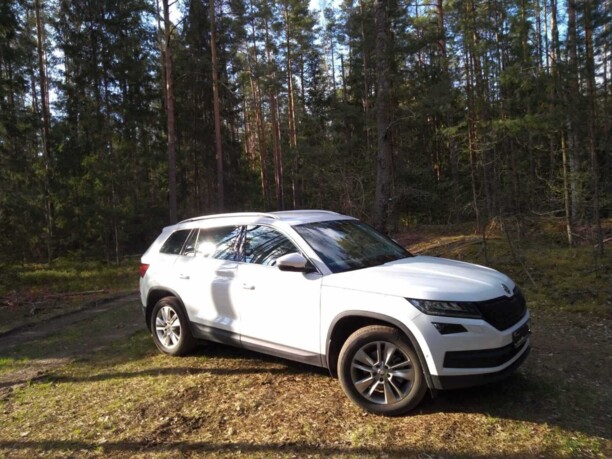 Skoda Kodiaq I, 2019 г.