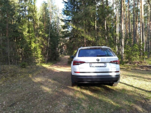 Skoda Kodiaq I, 2019 г.