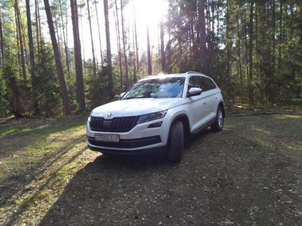 Skoda Kodiaq I, 2019 г.