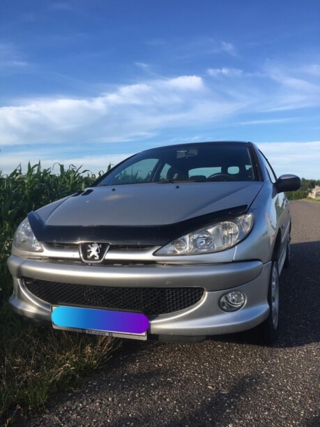 Peugeot 206 I, 2005 г.