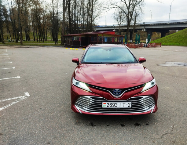Toyota Camry XV70, 2019 г.