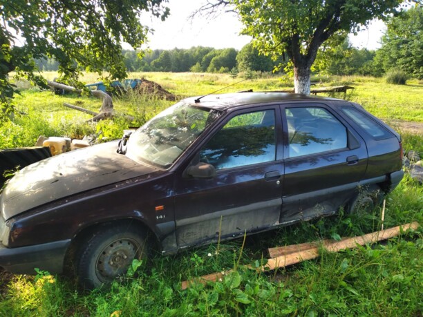 Citroen ZX, 1993 г.