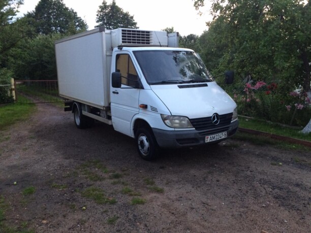 Mercedes-Benz Sprinter, 2002 г.