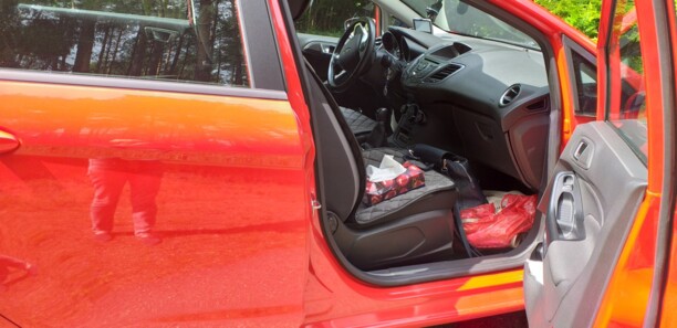 Ford Fiesta VI · Рестайлинг, 2015 г.