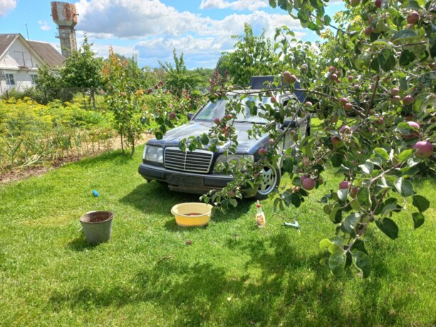 Mercedes-Benz E-Класс W124, S124, C124, A124, 1994 г.