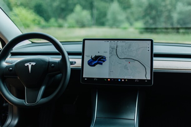 Tesla Model 3, 2020 г.