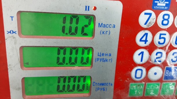 Правое зеркало заднего вида в сборе для SEAT Leon II 2005-2009