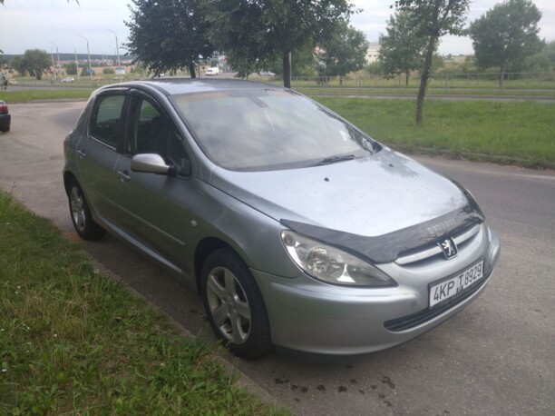 Peugeot 307 I, 2004 г.