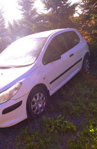 Peugeot 307 I · Рестайлинг, 2006 г.