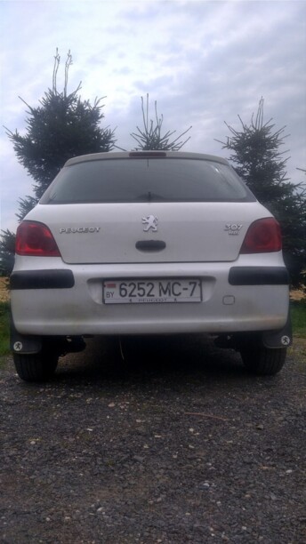 Peugeot 307 I · Рестайлинг, 2006 г.