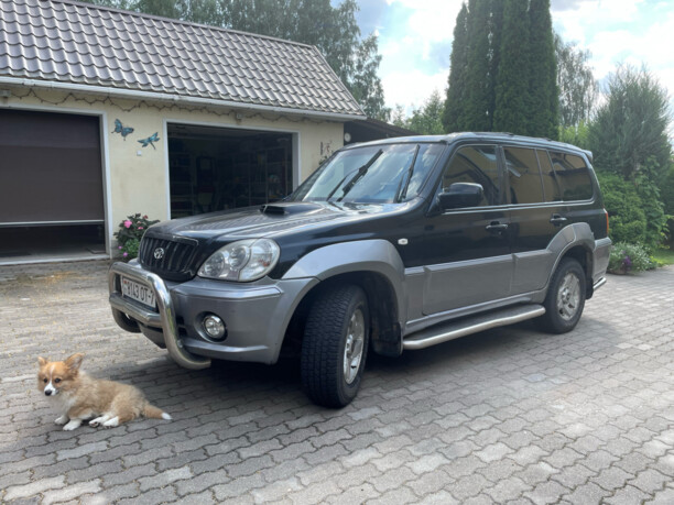 Hyundai Terracan I, 2001 г.