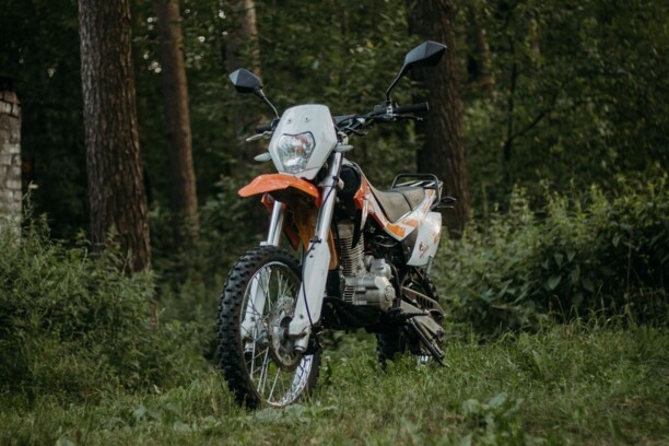 Racer RC, 2019 г.