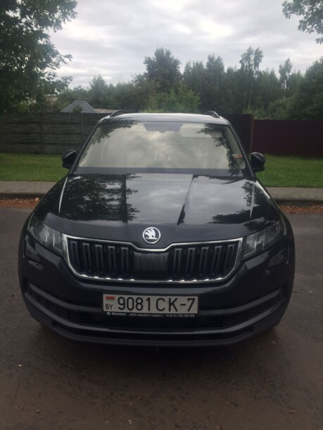 Skoda Kodiaq, 2019 г.