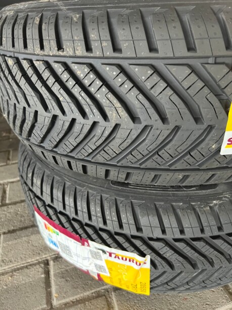 Легковые шины Taurus All season 205/50 R17 2 шт.
