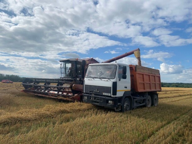 МАЗ 6501, 2011 г.