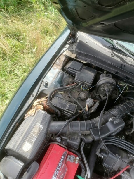 Honda Accord V, 1995 г.