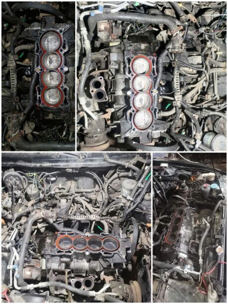 Honda Accord V, 1995 г.