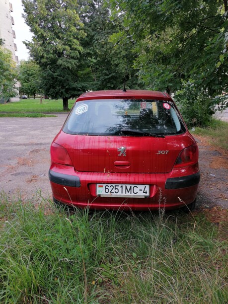 Peugeot 307 I, 2004 г.