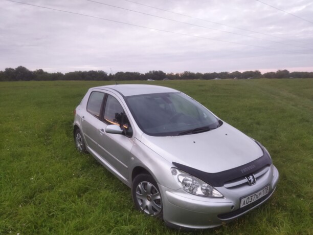 Peugeot 307 I, 2004 г.