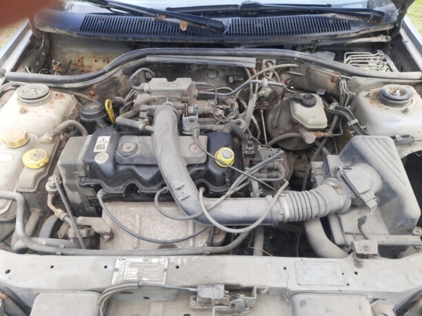 Весь автомобиль на запчасти для Ford Escort V · 2-й рестайлинг 1995 - 2000
