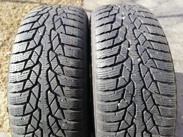 Легковые шины Nokian WR D4 195/65 R15 2 шт.