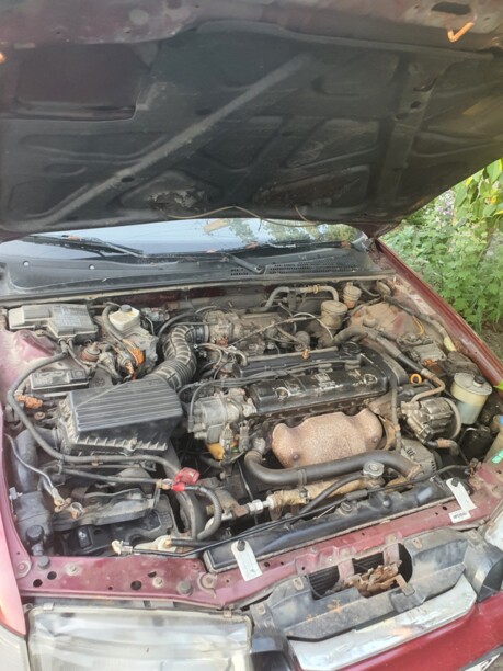 Honda Accord V, 1995 г.