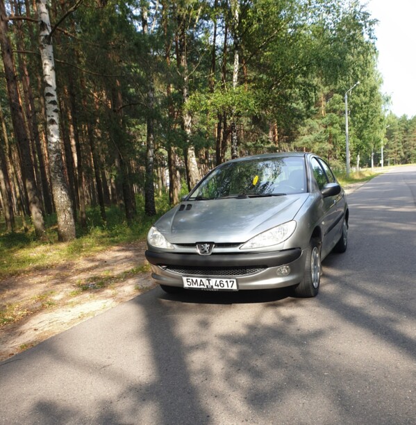 Peugeot 206 I, 2004 г.