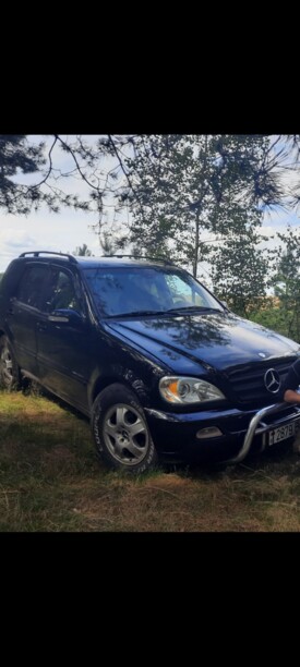 Mercedes-Benz M-Класс W163 · Рестайлинг, 2002 г.
