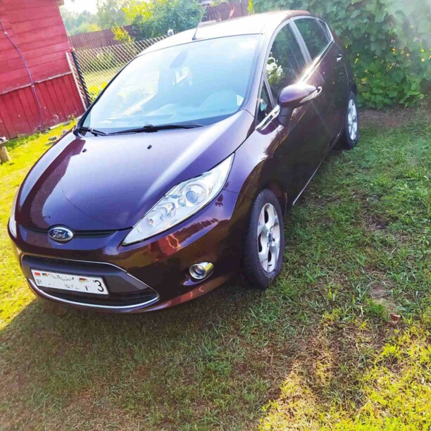 Ford Fiesta VI, 2009 г.