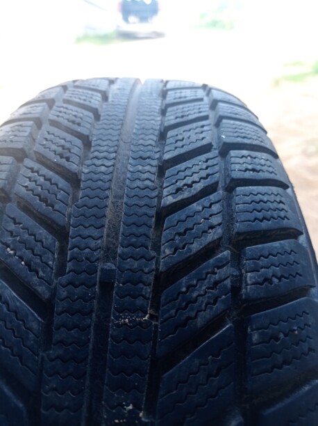 Легковые шины Белшина Бел-337 195/65 R15 1 шт.