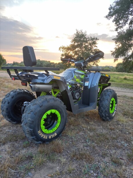Motoland Wild Trak LUX, 2022 г.