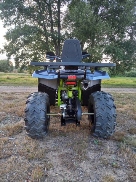 Motoland Wild Trak LUX, 2022 г.