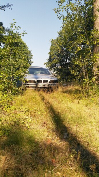 BMW 5 серия E39, 1999 г.