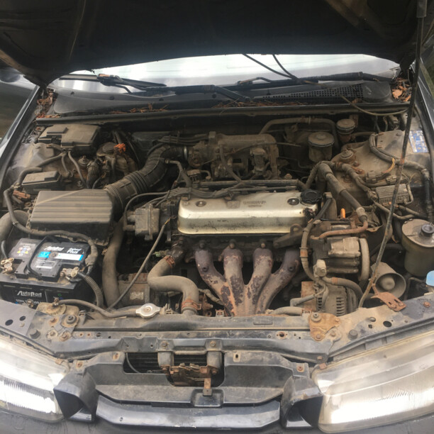 Honda Accord V, 1993 г.