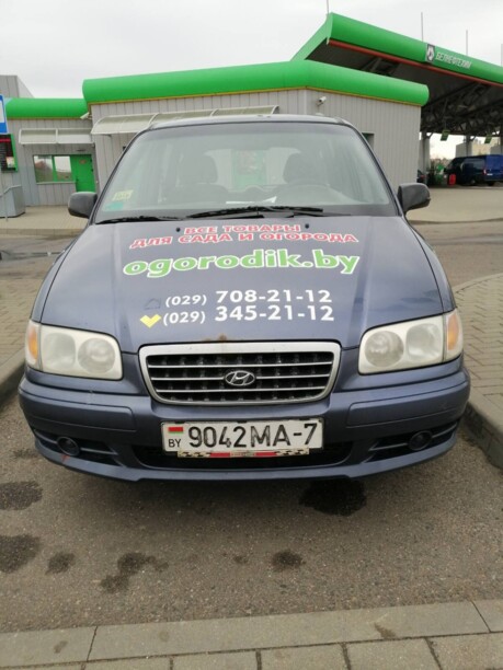 Hyundai Trajet I, 7 мест, 2001 г.