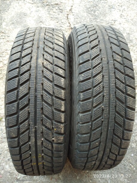 Легковые шины Белшина Артмоушен 195/65 R15 2 шт.