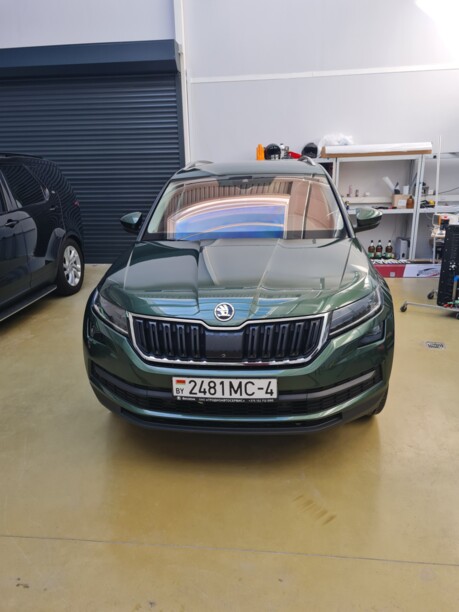 Skoda Kodiaq, 2020 г.
