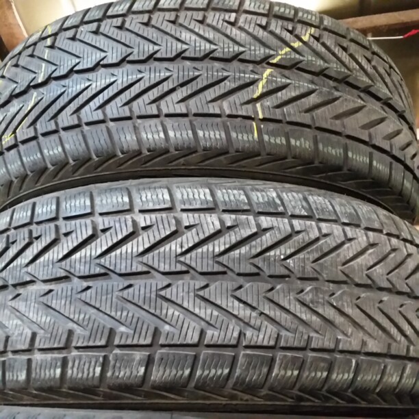 Легковые шины Vredestein Wintrac 4Xtreme 255/50 R19 2 шт.